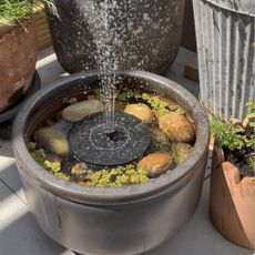 collection of planters on a grey paved patio with one of them filled with water and topped with a solar water fountain