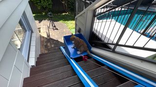 man builds a cat elevator for his senior cat