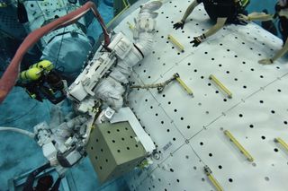 Astronauts practice for spaceflight here on Earth in a number of unique ways, including underwater. In this image, astronauts practiced a maneuver designed for the International Space Station underwater at the Neutral Buoyancy Lab, which is operated by NASA. At this testing facility, astronauts get completely suited up as if they were about to go out on a spacewalk and perform spacewalk tasks underwater on a mock space station. Later this month, NASA astronauts Victor Glover and Mike Hopkins will put their training to the test as they will embark on a spacewalk during which they will install a small, fridge-sized device on the outside of the space station's Columbus module.