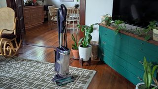 Shark PowerDetect Upright vacuum in use