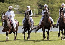 Tent-pegging.jpg