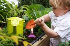 Toddler Playing In The Garden With Garden Tools