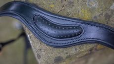 Dublin_Collegiate_Comfort_Headcollars_1D5A0859.jpg