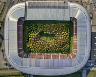 Walk-in tree art installation in football stadium