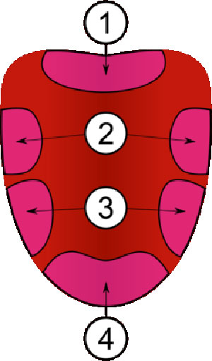 Areas 1,2,3 and 4 – there’s are no difference.