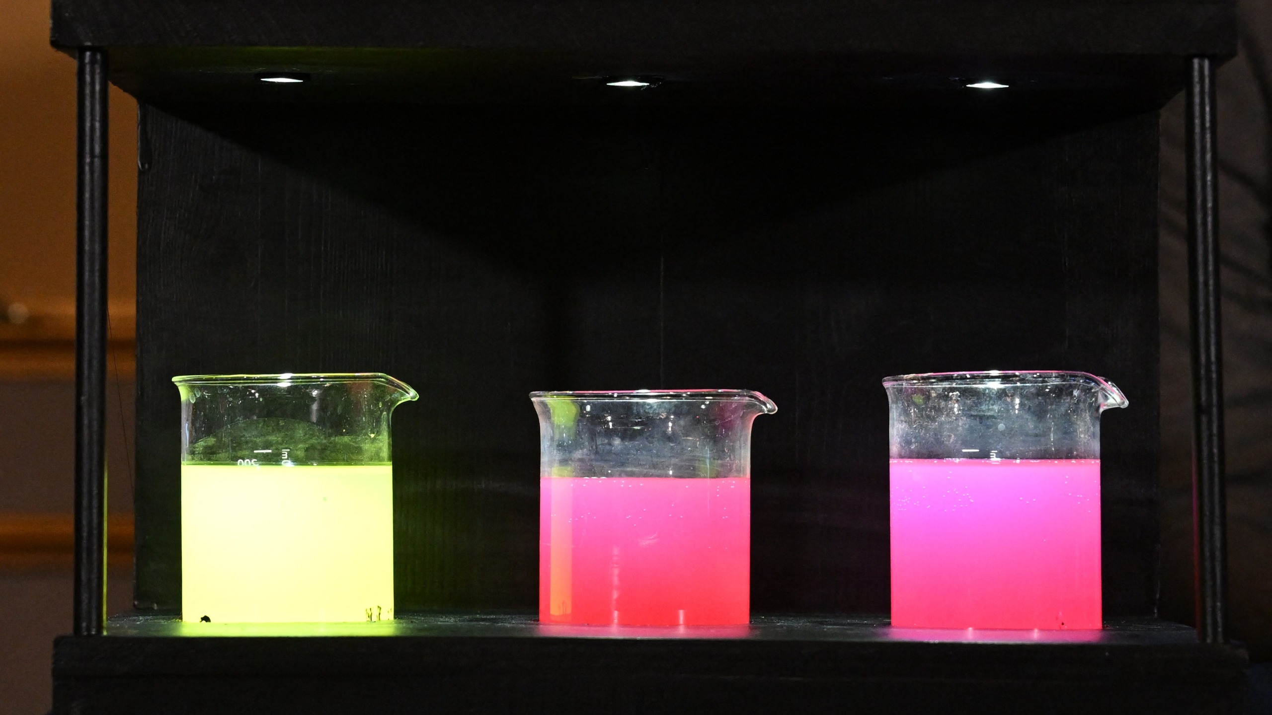 A photo of three beakers filled with luminescent liquid during the 2026 Nobel Prize in Chemistry announcement at the Royal Swedish Academy of Sciences in Stockholm.