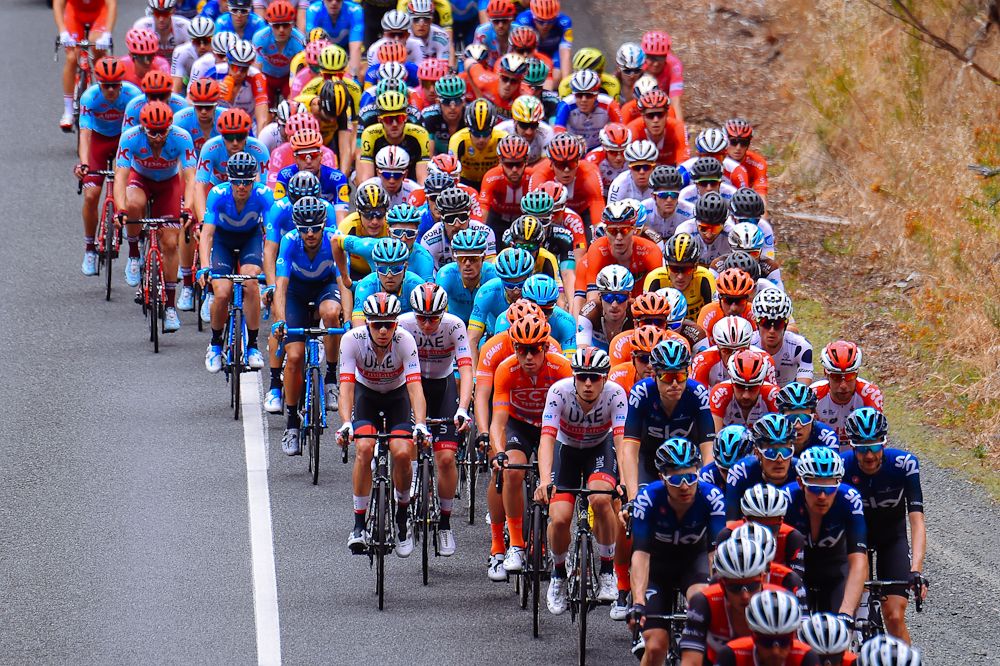 The peloton in action during stage 3 at the Tour Down under
