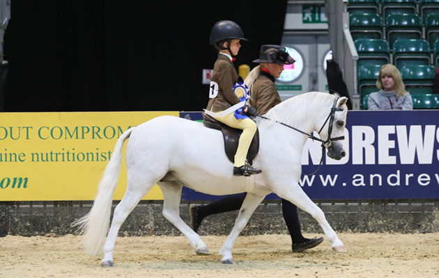 HOYS 2018 free PR images in HOYS context