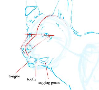 How to draw a dog: muzzle