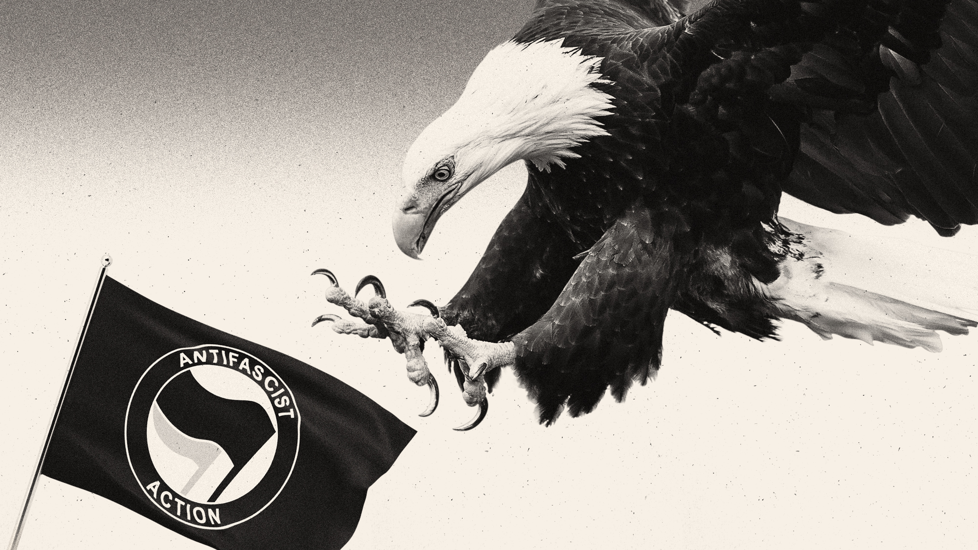 Illustration of a bald eagle swooping down on an Antifascist Action flag