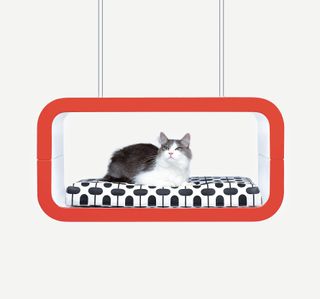 The cat home interior has black and white cushion