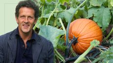 cut out of monty don overlaying picture of full grown pumpkin in vegetable patch