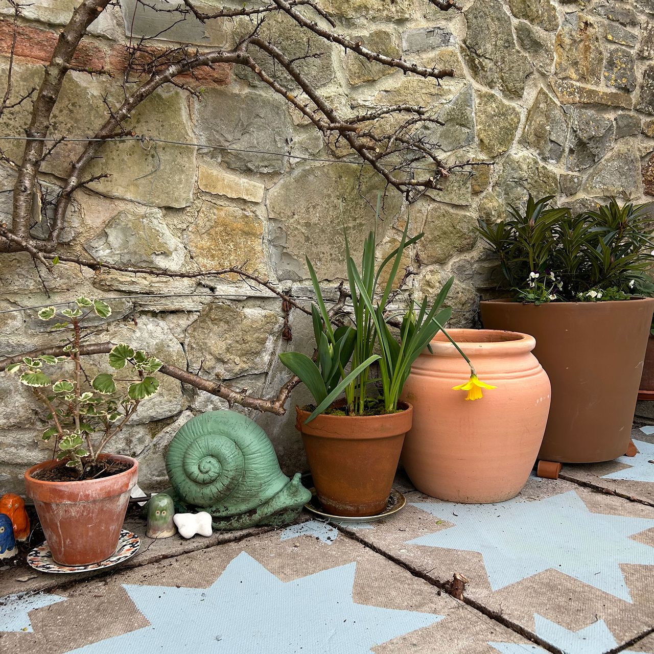 Stone wall lined with potted plants and climber growing up, above patio slabs painted with blue star design