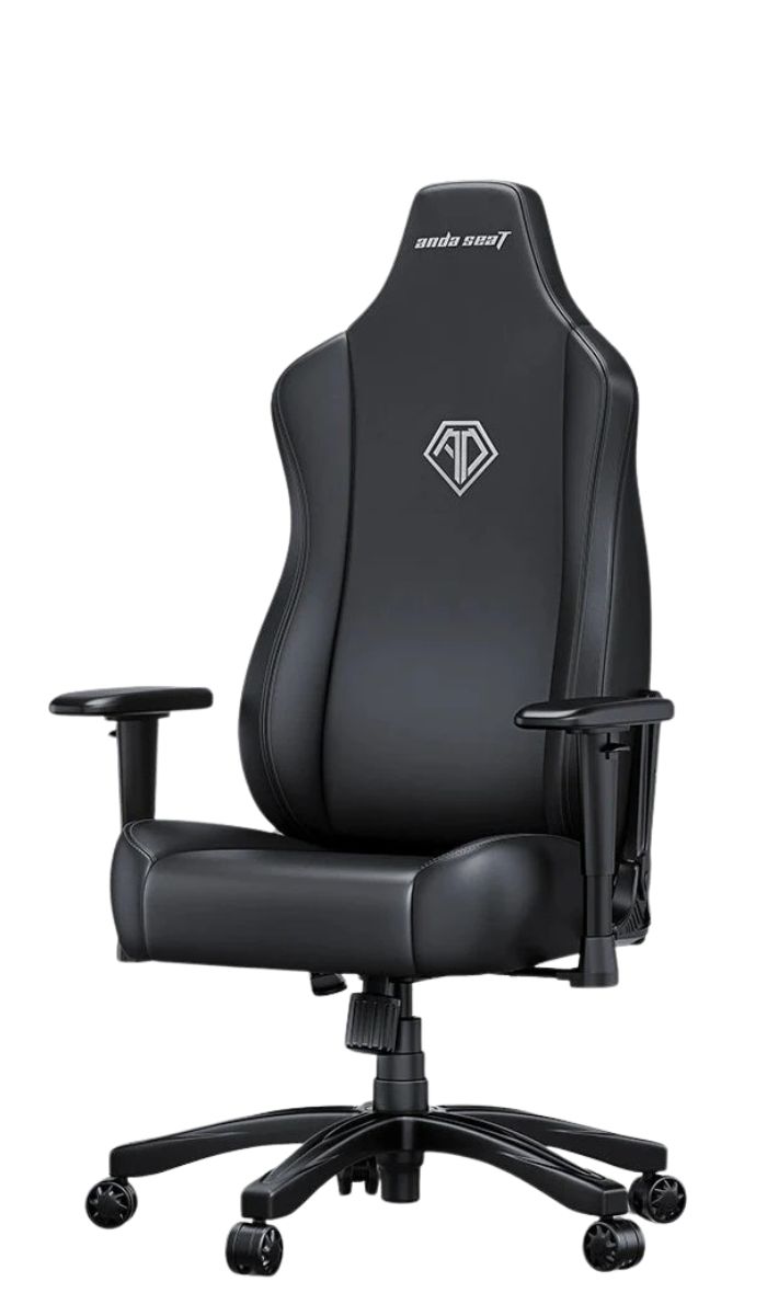 The black AndaSeat novis on a plain background