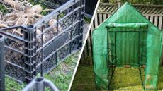 composite of dahlia tubers in crates and plastic mini greenhouse