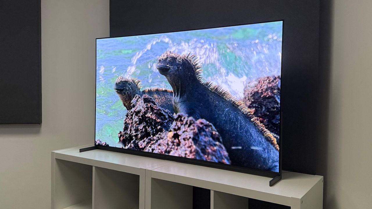 The 55-inch Sony Bravia 8 II QD-OLED TV seen on a white table at a 3/4 angle. On the screen is a nature documentary.
