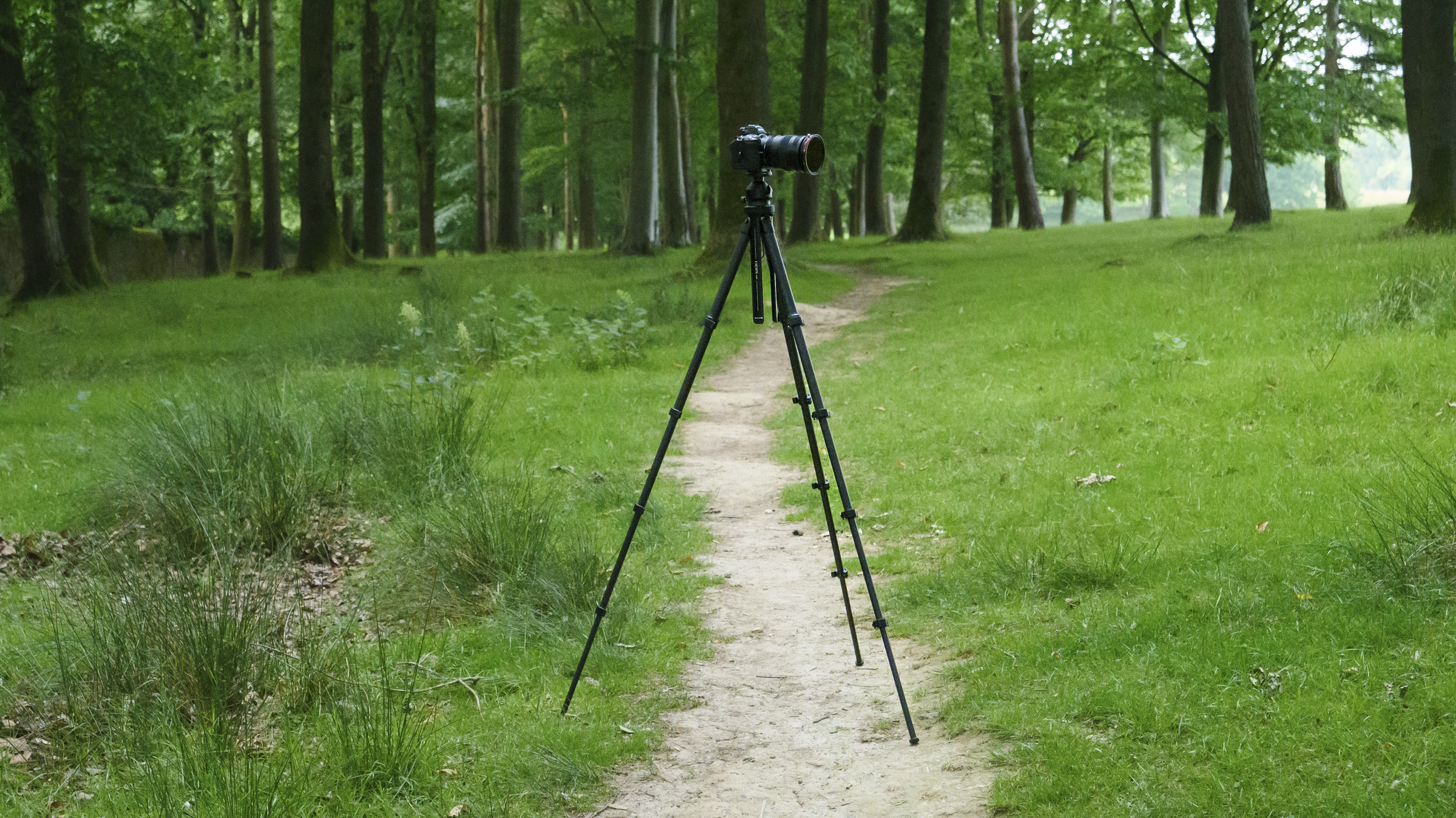 Heipi 3-in-1 Travel Tripod W28S with camera mounted on it, in woodland