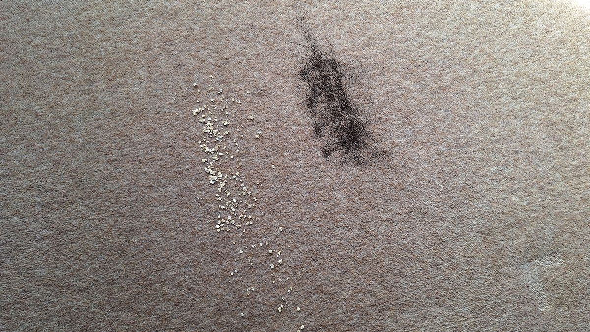 Carpet with tea and oats remaining after one pass with the Roborock Saros 10