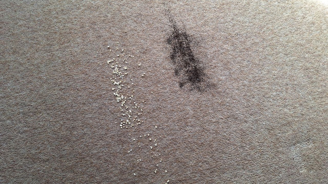 Carpet with tea and oats remaining after one pass with the Roborock Saros 10