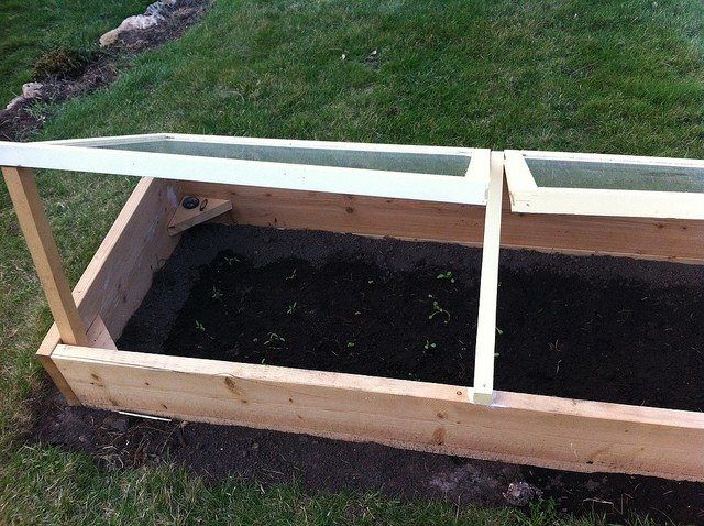 Wooden Cold Frame In Garden