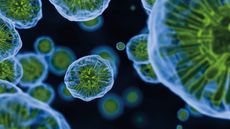 Biotech