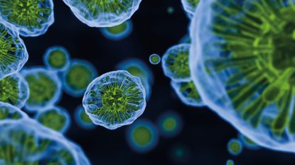Biotech
