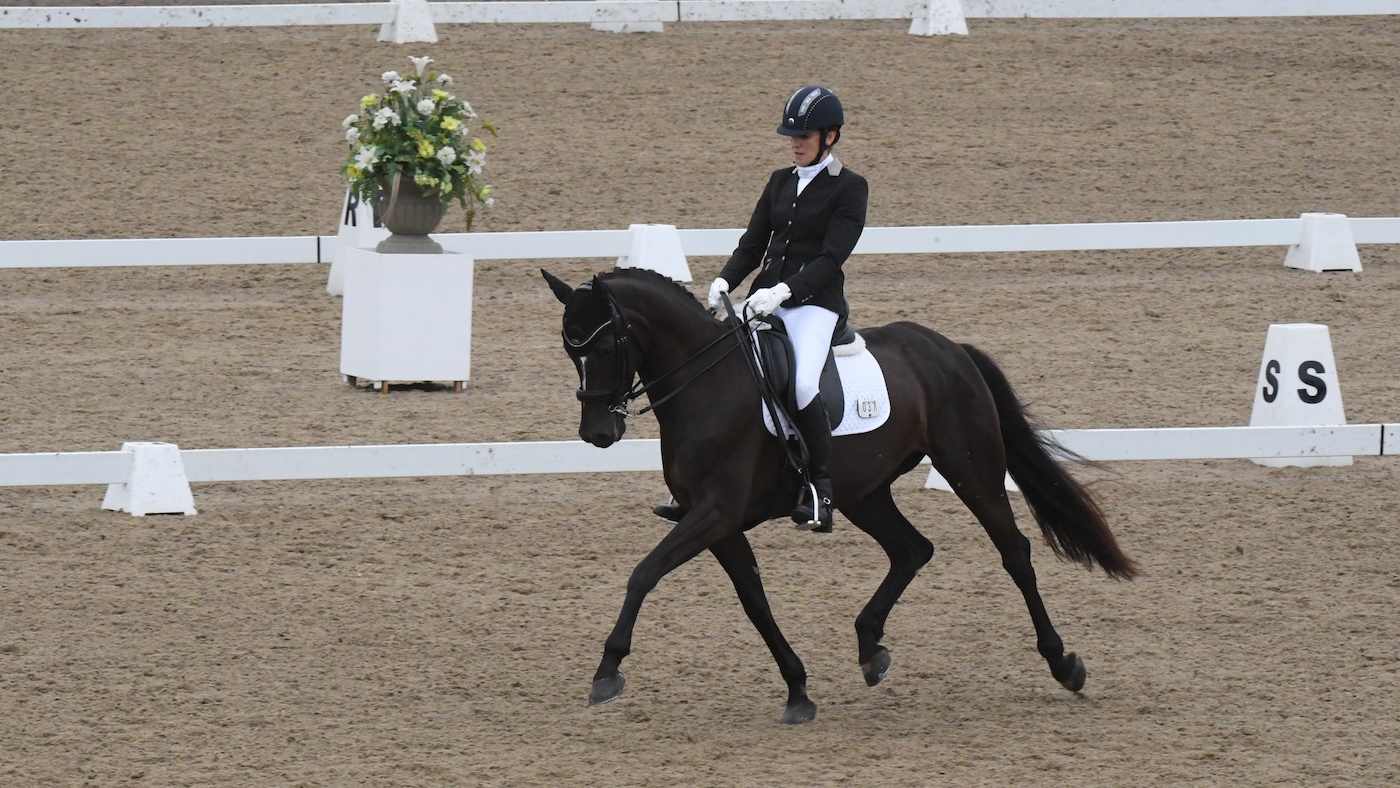 RACHEL PLATT - GRACIA DU RONA