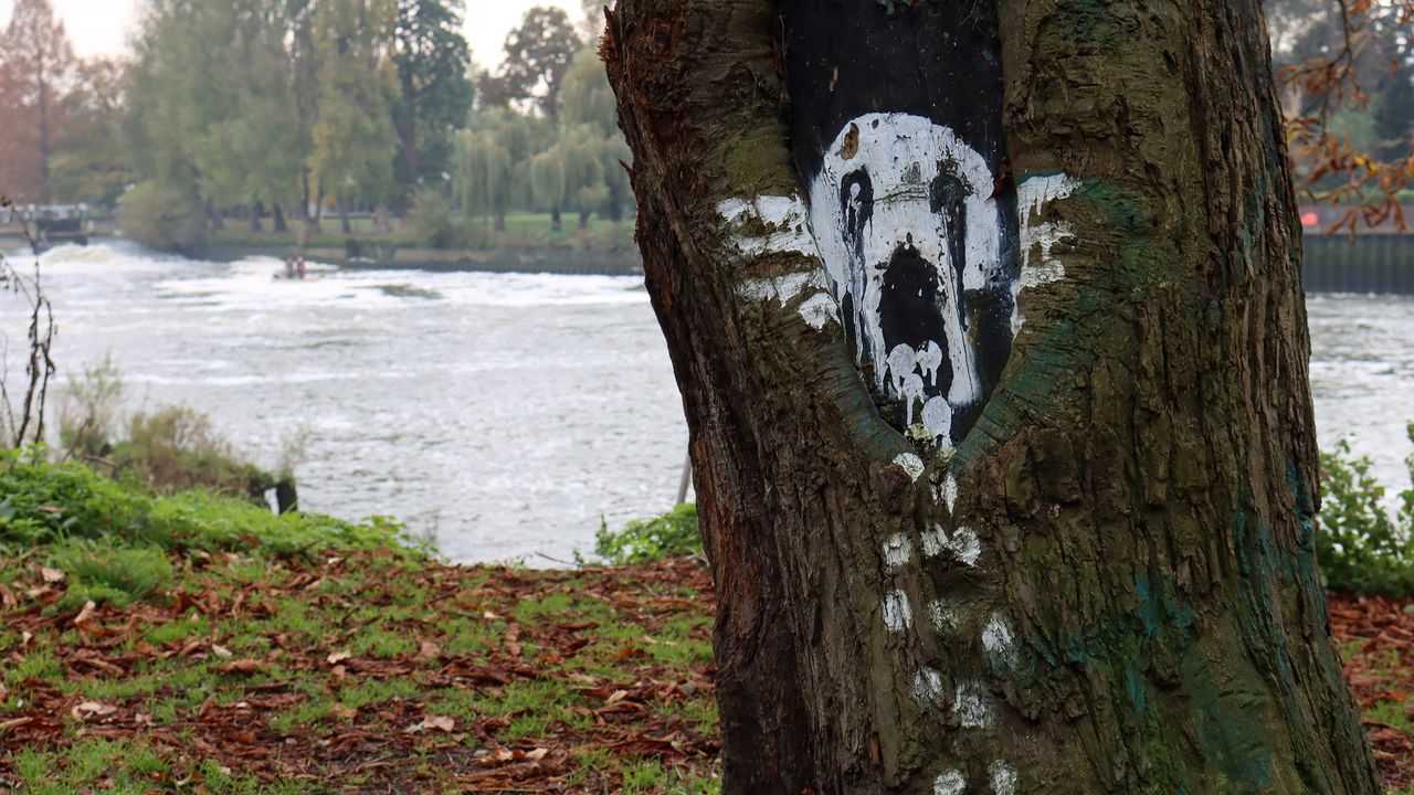 Canon EOS 90D review