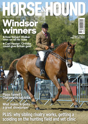 HHcov21MAY180-lr.jpg