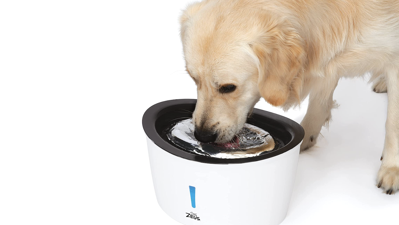 Best pet fountains: Zeus Cascade is ideal for large and medium dogs
