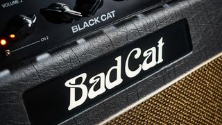 Bad Cat Black Cat 1x12 combo