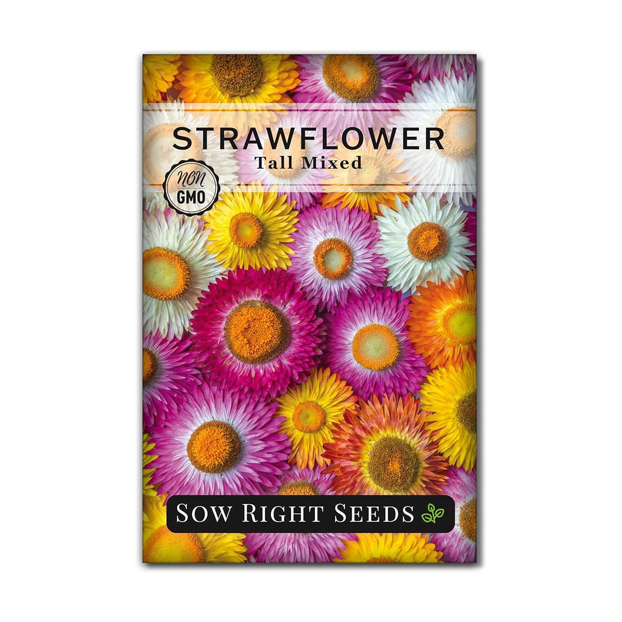 Sow Right Seeds strawflower seeds
