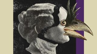 Cover art for Time Flies: The Story Of Porcupine Tree