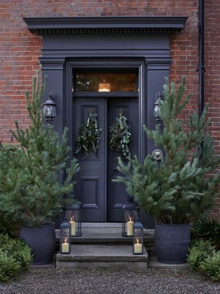 A Christmas door with two trees in front of it