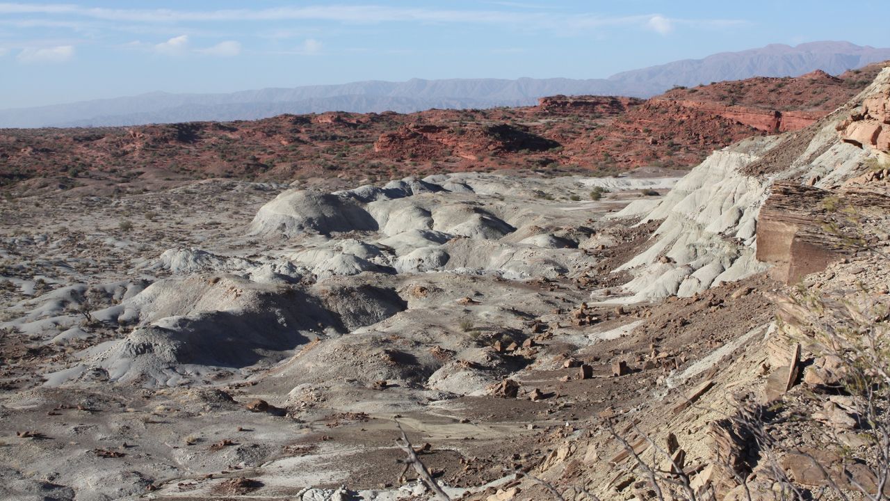 The Triassic rocks of the Cha&ntilde;ares Formation (grey and brown), in northwest Argentina, that held the remains of the lagerpetid Lagerpeton.