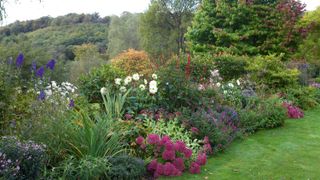 Herbaceous borders in an autumn garden