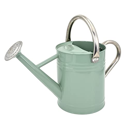 Lechloris Metal Watering Can for Outdoor Plants, Galvanized Steel Watering Can With Removable Spout, 1 Gallon,perfect Home &amp;amp; Garden D&amp;eacute;cor Cream Green