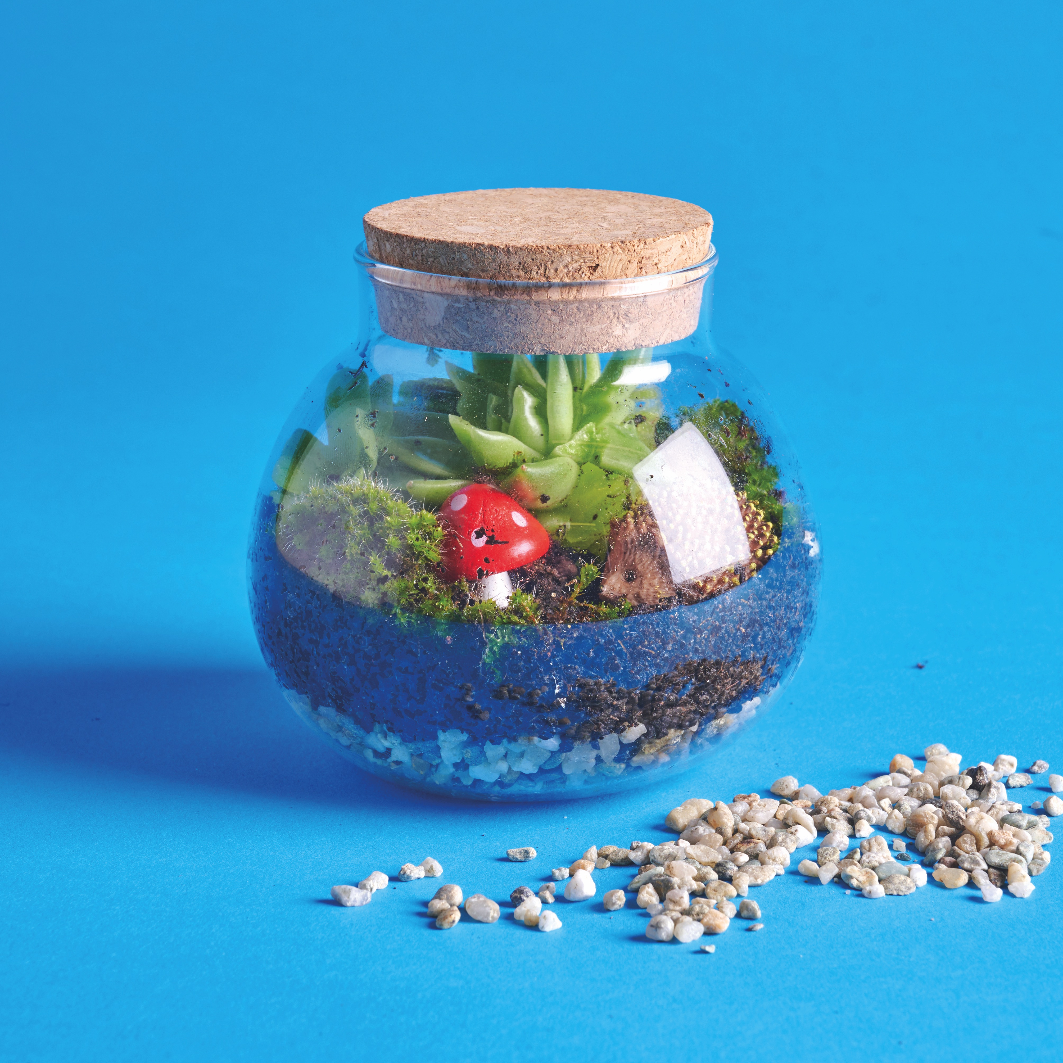 Terrarium with soil, plants and a fake mushroom