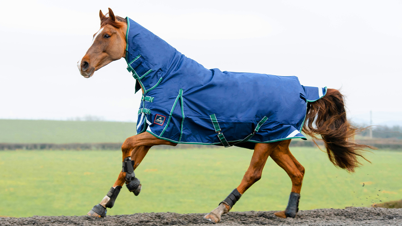 Mackey Keadeen turnout rug