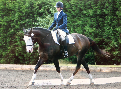 Felix has competed affiliated dressage and showjumping