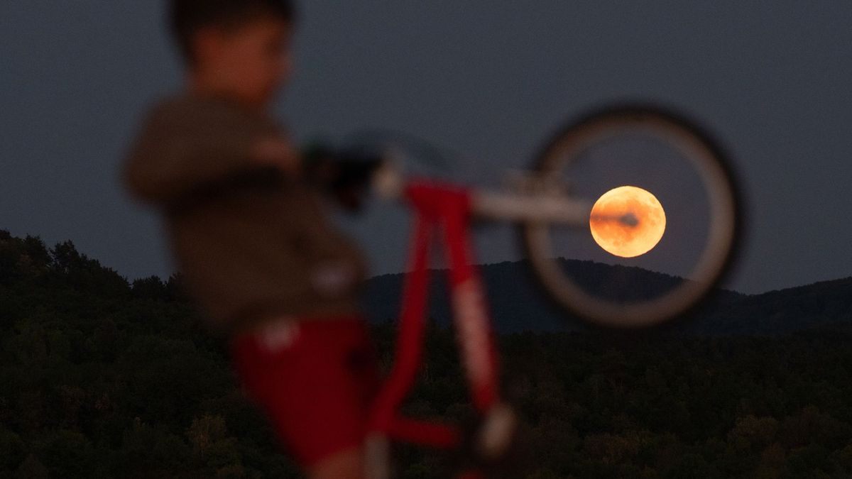 Se fotografía una luna llena de color naranja brillando detrás del volante de la bicicleta de un niño por la noche.