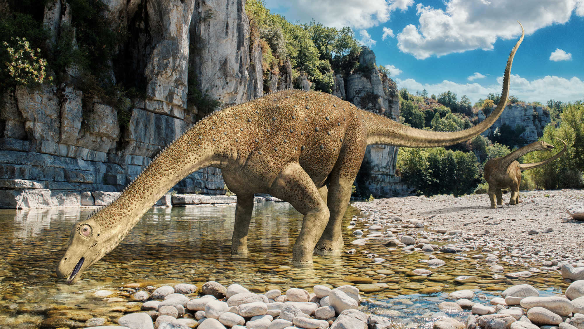 An illustration of a long-necked dinosaur drinking from a stream