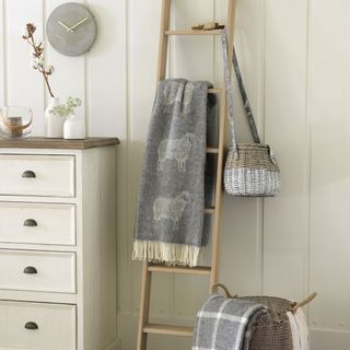 room with ladder shelf and drawers