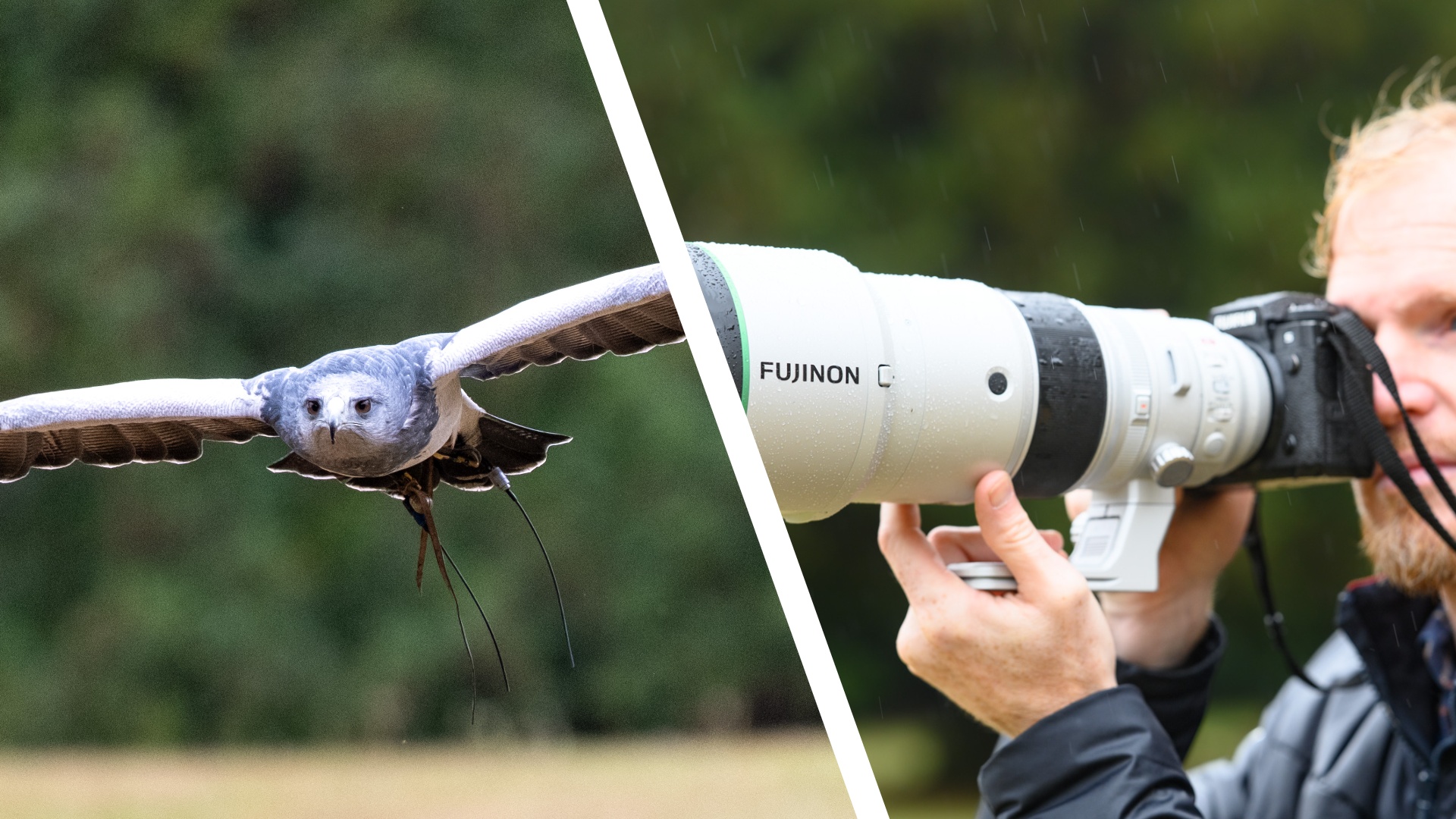 A black-chested buzzard eagle in flight (left) and TechRadar Cameras Editor Tim Coleman holding a Fujifilm camera and telephoto lens in same location outdoors (right)