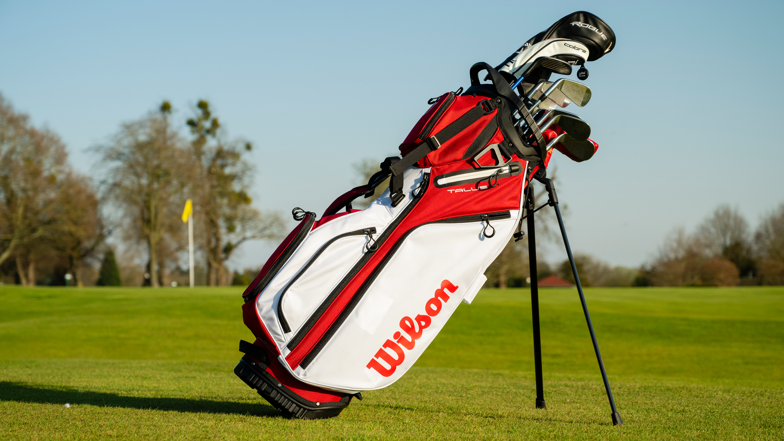Wilson Talus 14 Stand Bag