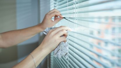 Someone cleaning venetian blinds hanging up 