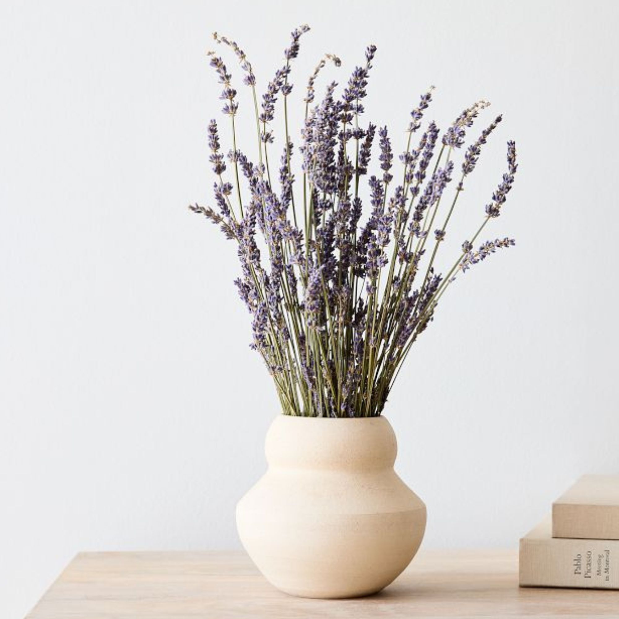 Dried Lavender Stem Bunch