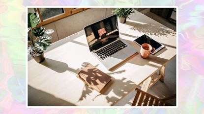 A desk with a laptop, cup of coffee, organizer, and pot plant on it with a pink ombre background.