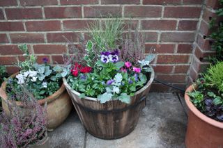 winter containers