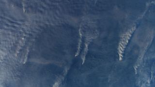 Wildfires raging in the western U.S. seen from the International Space Station.